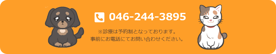 電話番号