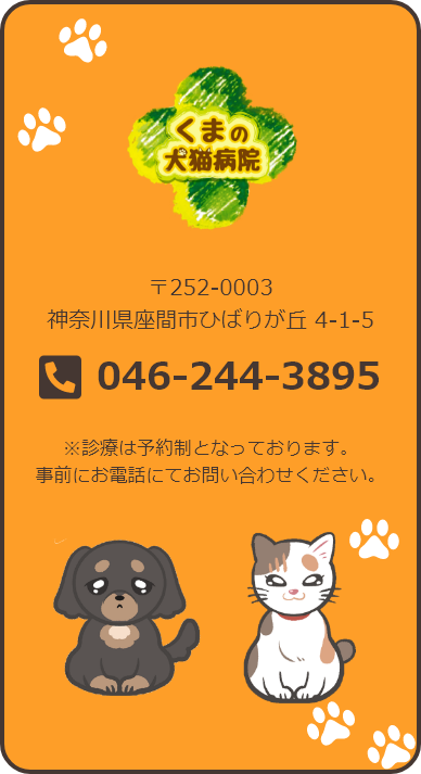 くまの犬猫病院　046-244-3895